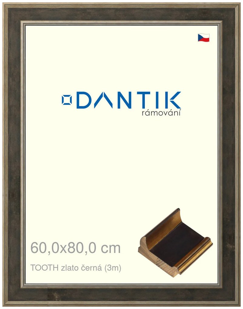 DANTIK rám na obraz 60x80 | TOOTH zlato černá (Plexi Čiré)