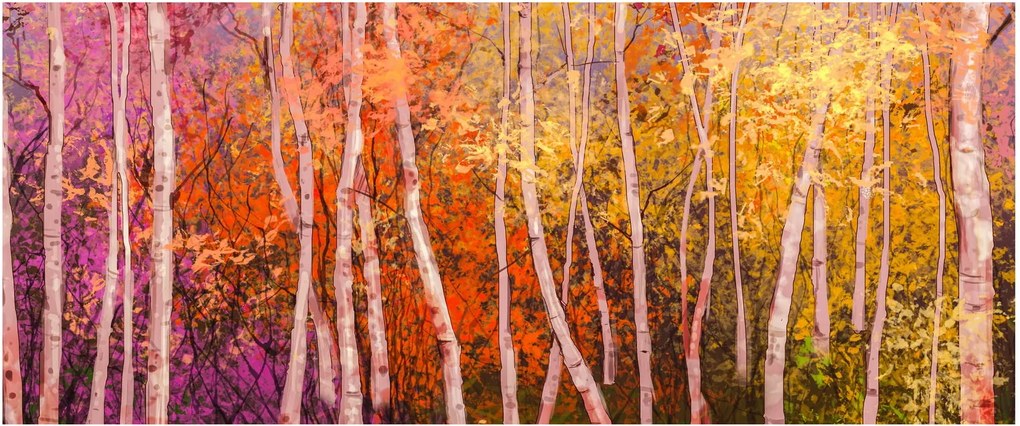 Obraz farebného lesa (120x50 cm)