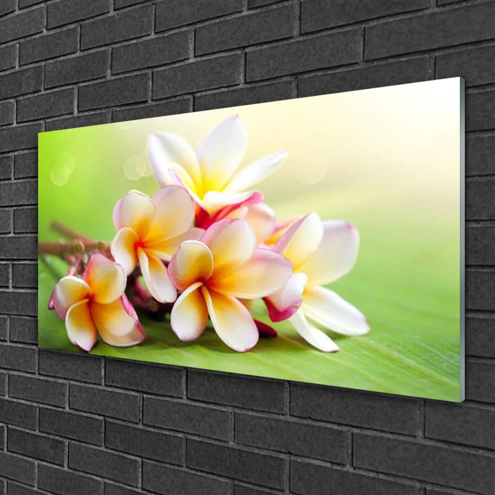 Skleneny obraz Kvety rastlina príroda 120x60 cm