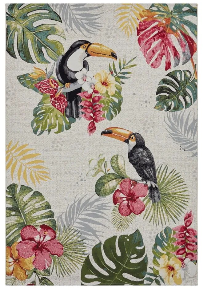 Vonkajší koberec 240x340 cm Flair – Hanse Home