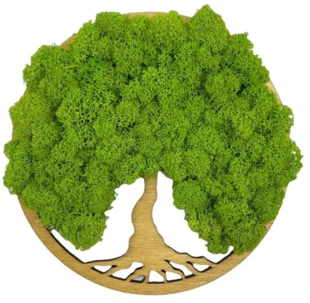 Strom na stenu z machu Navi 20 cm