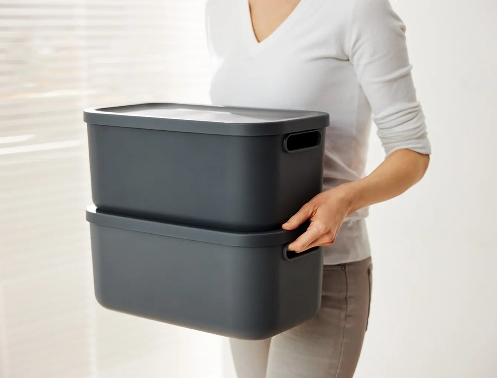 Rotho Úložný box, rovný s vekom, 12 l, antracit ALBU LIGHT, 40 x 24 x 18 cm