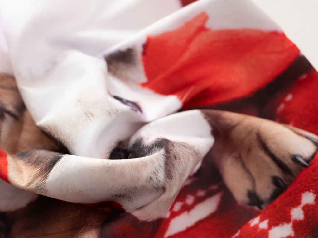 Vianočná obliečka na vankúš 40 × 40 cm - Buldog s červenou čiapočkou