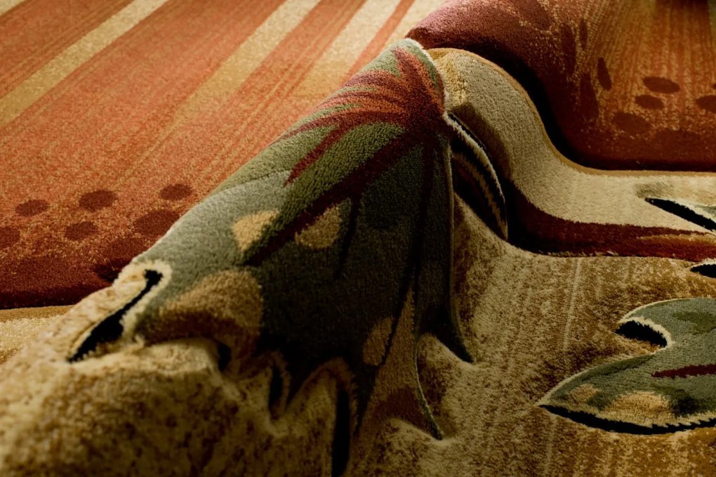 TA Koberec C657A HNEDÁ ANTOGYA Rozmer: 160x220 cm