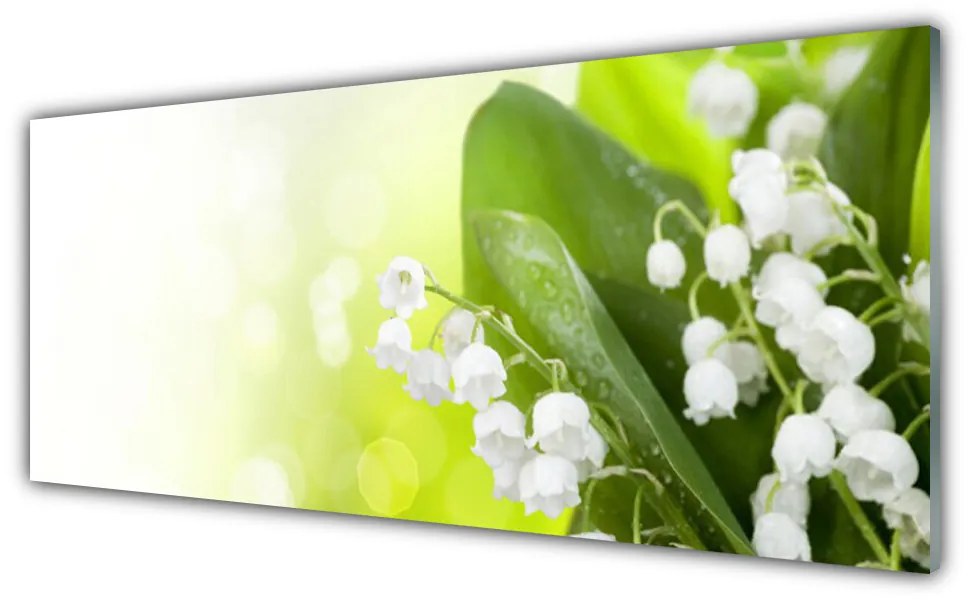 Obraz plexi Konvalinky listy kvety lúka 125x50 cm