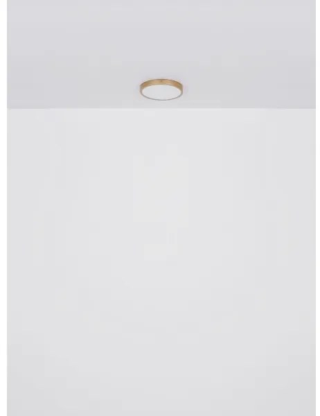 Globo 12381-22 - LED Stropné svietidlo TIBEY LED/22W/230V pr. 35 cm