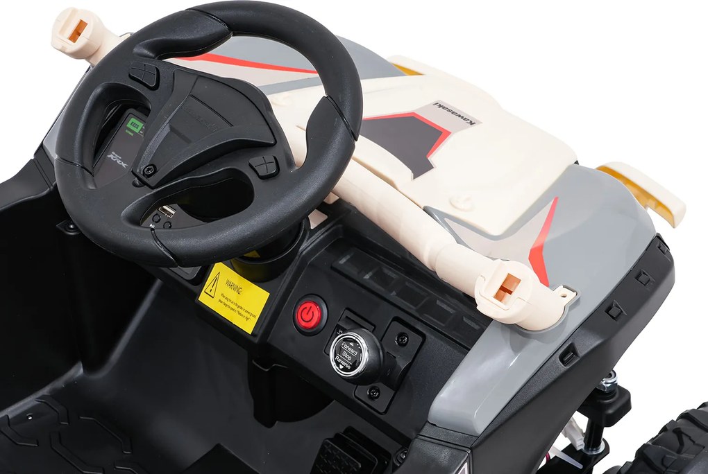 Ramiz Buggy Kawasaki TERYX KRX1000 khaki