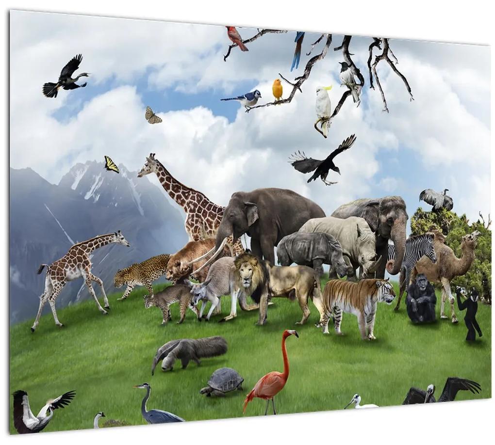 Sklenený obraz - Zvieratká na ostrove (70x50 cm)