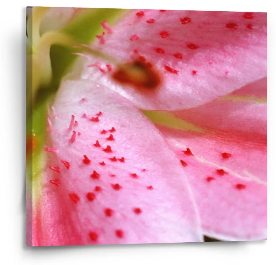 Sablio Obraz Kvet ľalie - 110x110 cm