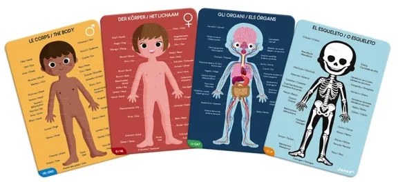 Janod - Detské vzdelávacie puzzle 225 ks ľudské telo