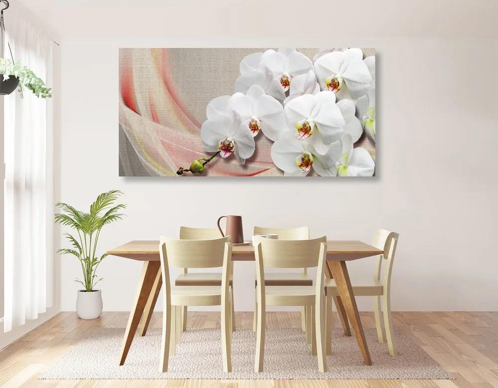 Obraz biela orchidea na plátne Varianta: 100x50