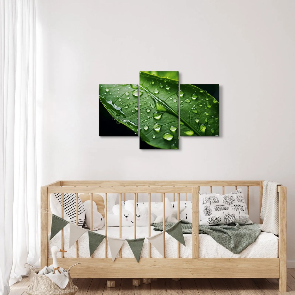 Obraz - List po daždi (90x60 cm)