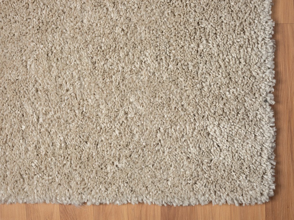 Behúň My Shaggy beige, 80x300, béžová, chodba / predsieň, My Flair