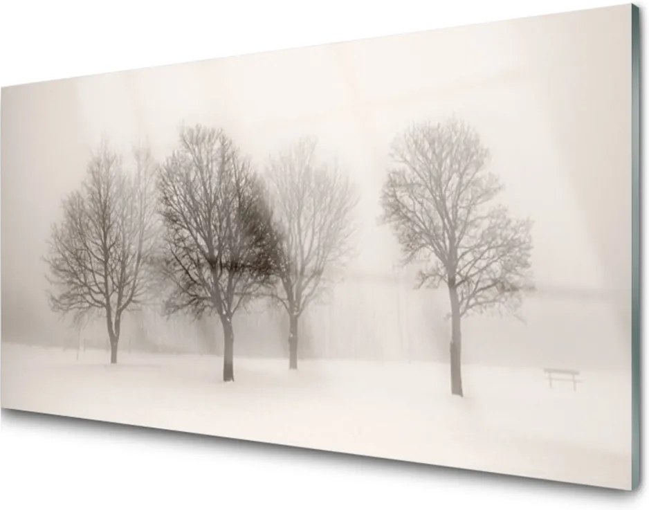 Plexisklo obraz Sníh stromy krajina