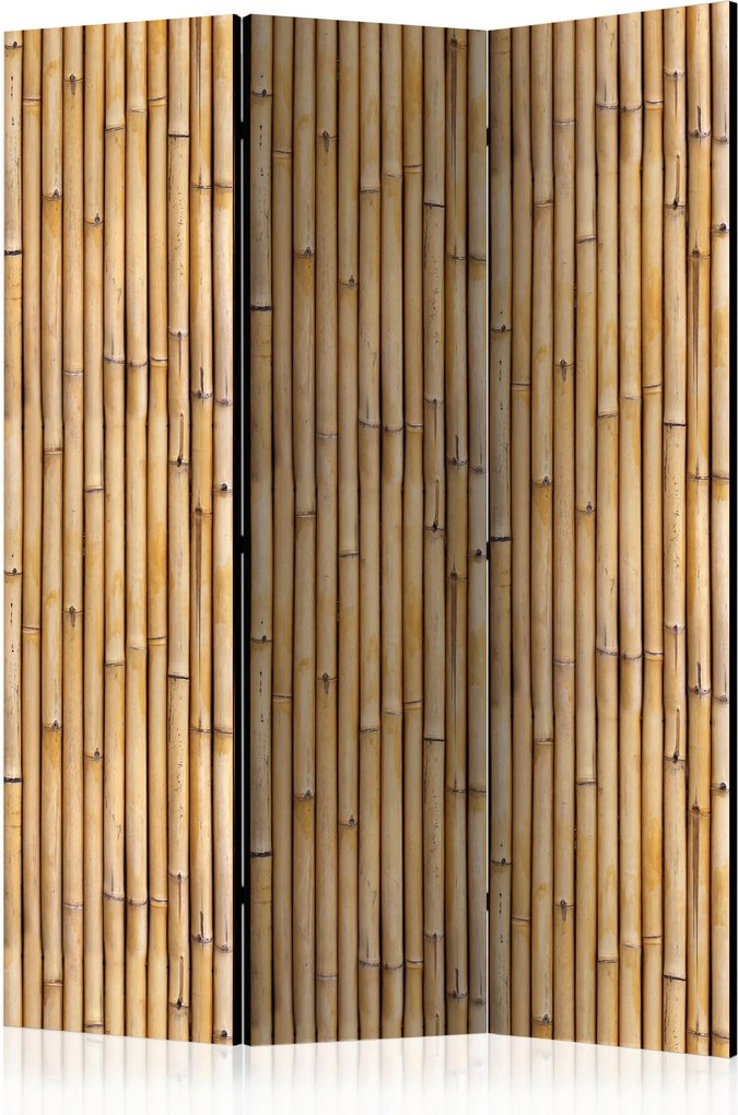 XXXLutz PARAVÁN, 135/172/3 cm artgeist - Paravány - 004875047001