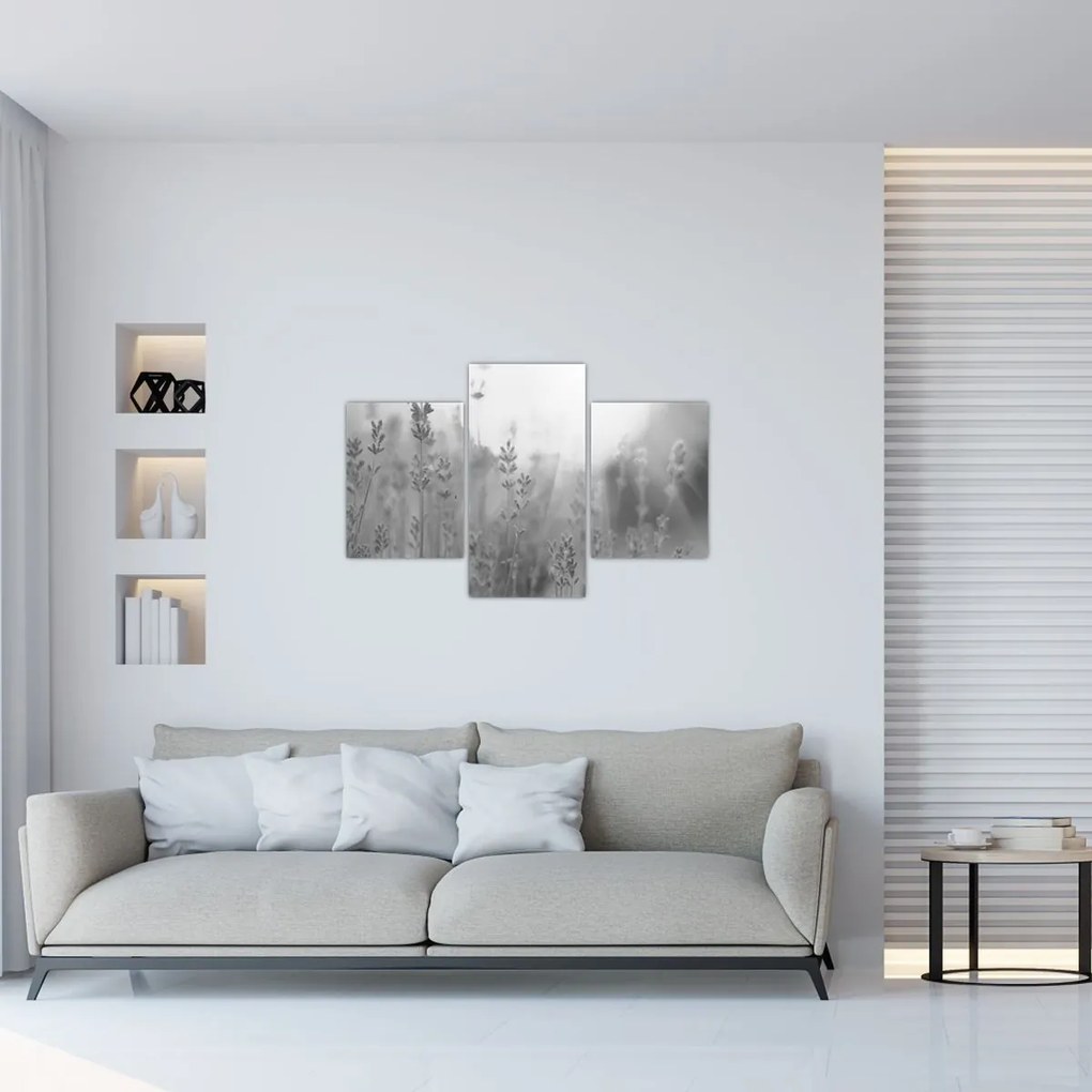 Obraz - Levanduľa (90x60 cm)