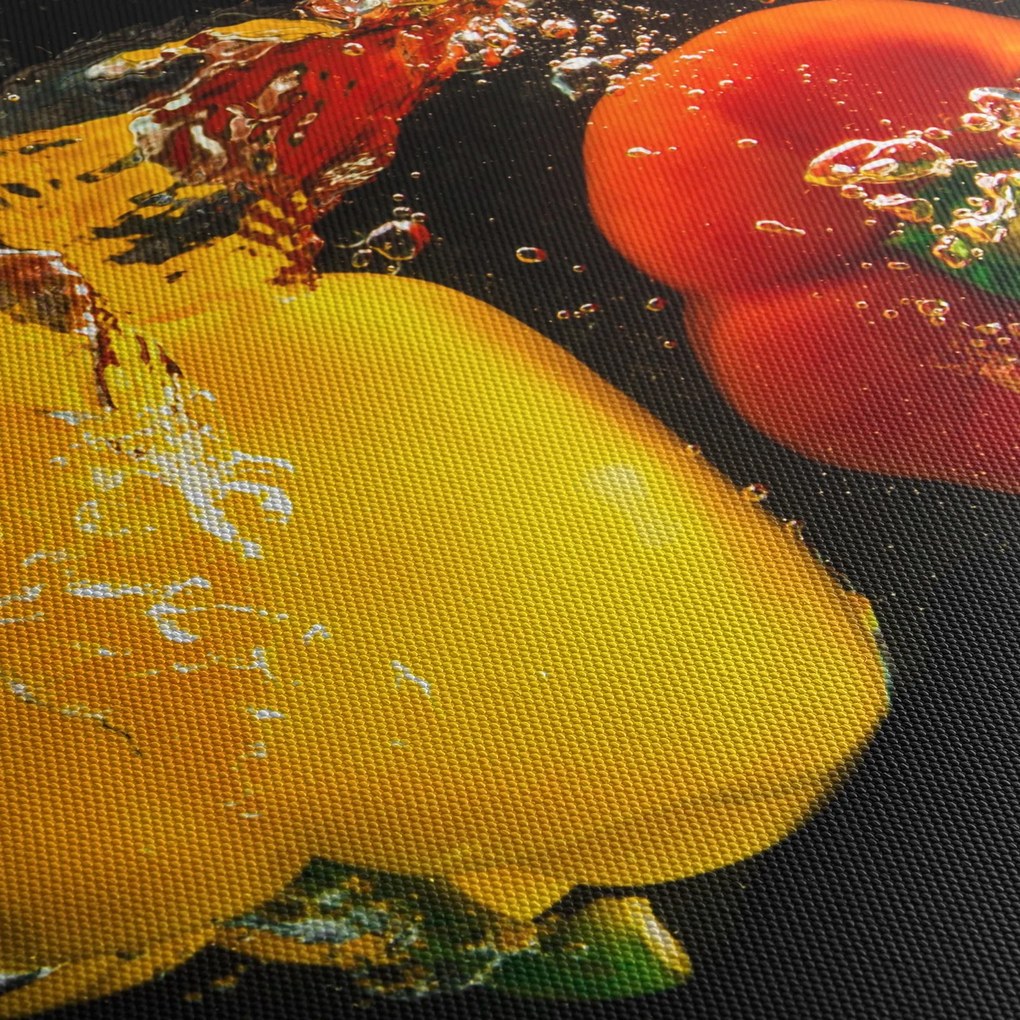 Obraz - papriky vo vode (90x60 cm)