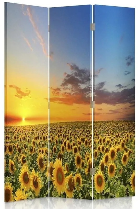 Ozdobný paraván, Krajina se slunečnicemi - 110x170 cm, trojdielny, obojstranný paraván 360°