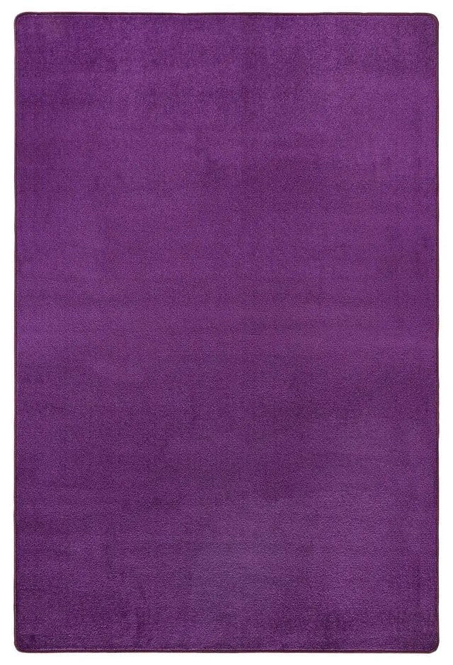 Tmavofialový koberec 160x240 cm Fancy – Hanse Home