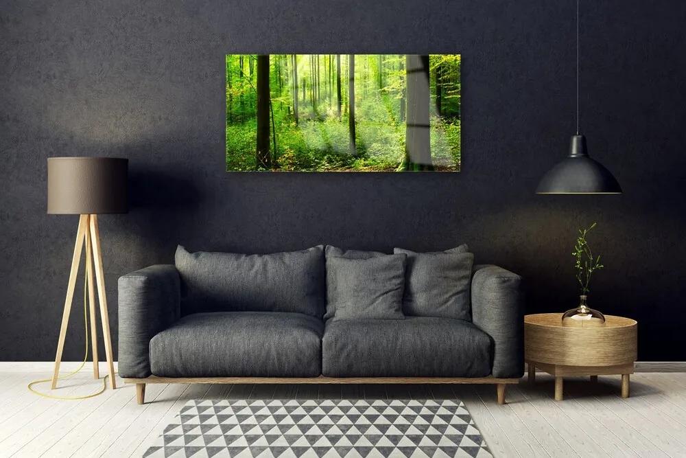 Skleneny obraz Les zeleň stromy príroda 120x60 cm