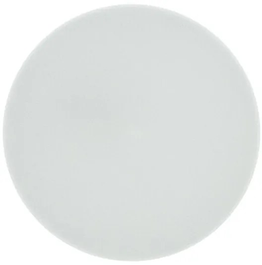 Stropné svietidlo LED QTEC Q-220CP Rima 10W 4000K biela