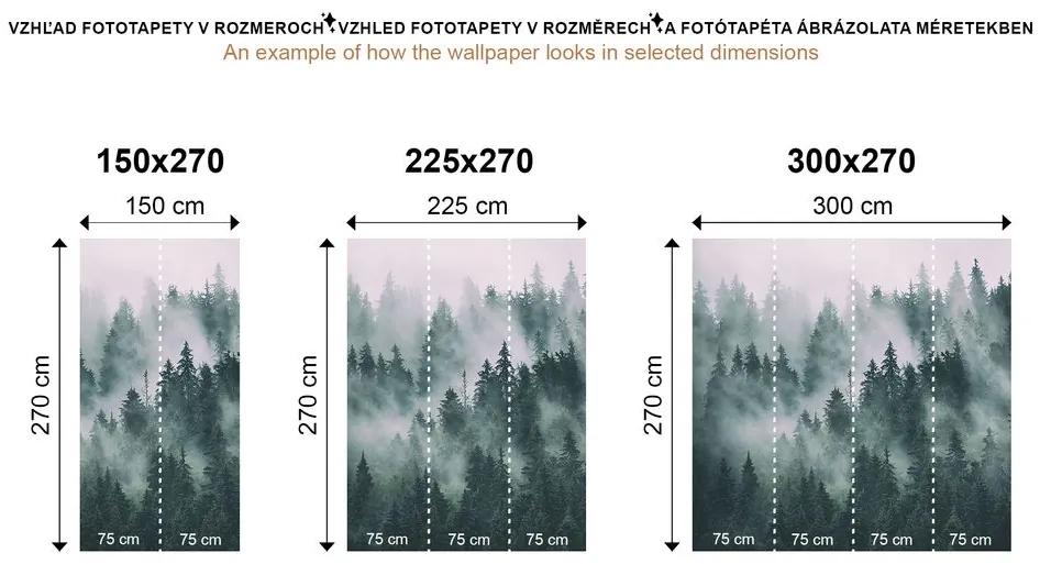 Samolepiaca fototapeta slnko za stromami v čiernobielom - 150x100