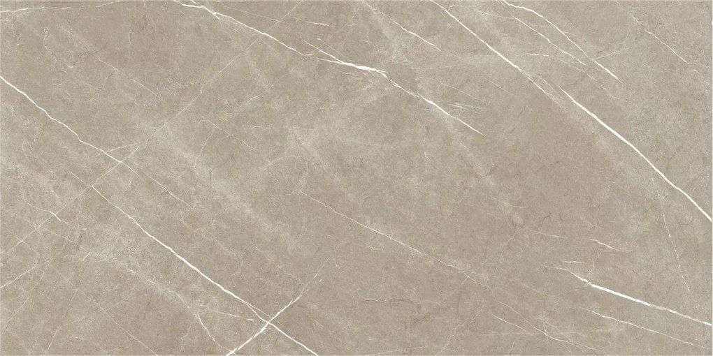 Dlažba Eternal Taupe Pulido 60x120 R
