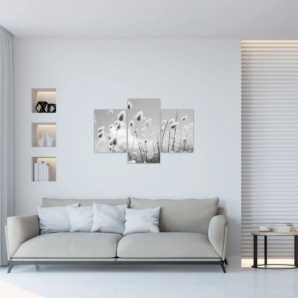 Obraz - Boho bunny tail grass (90x60 cm)