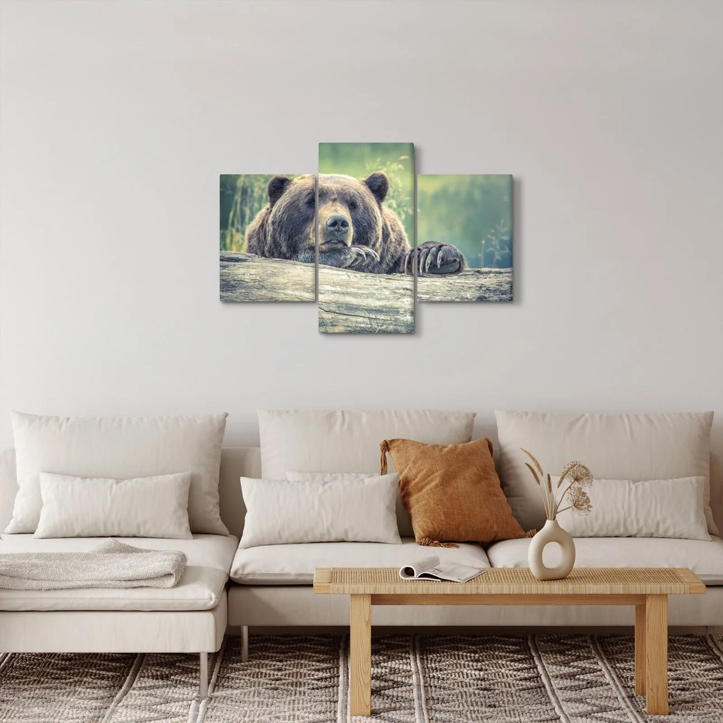 Obraz medveďa (90x60 cm)