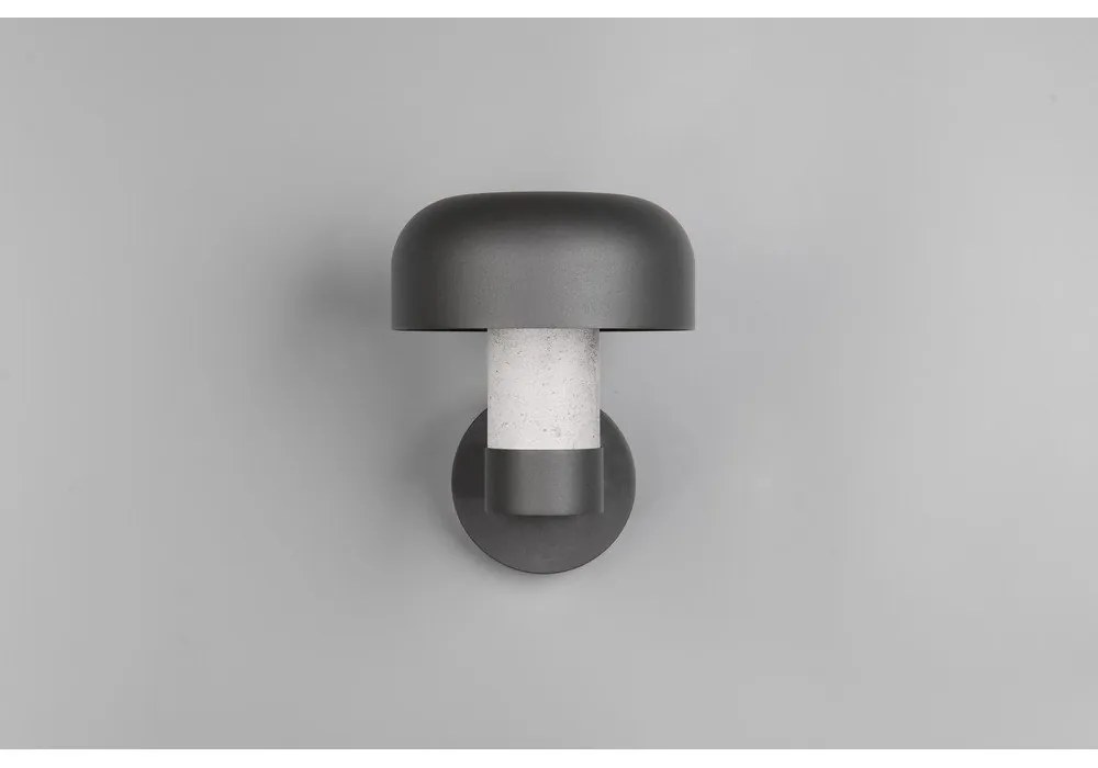 Nástenné vonkajšie svietidlo (výška 24,5 cm) Fraser – Trio