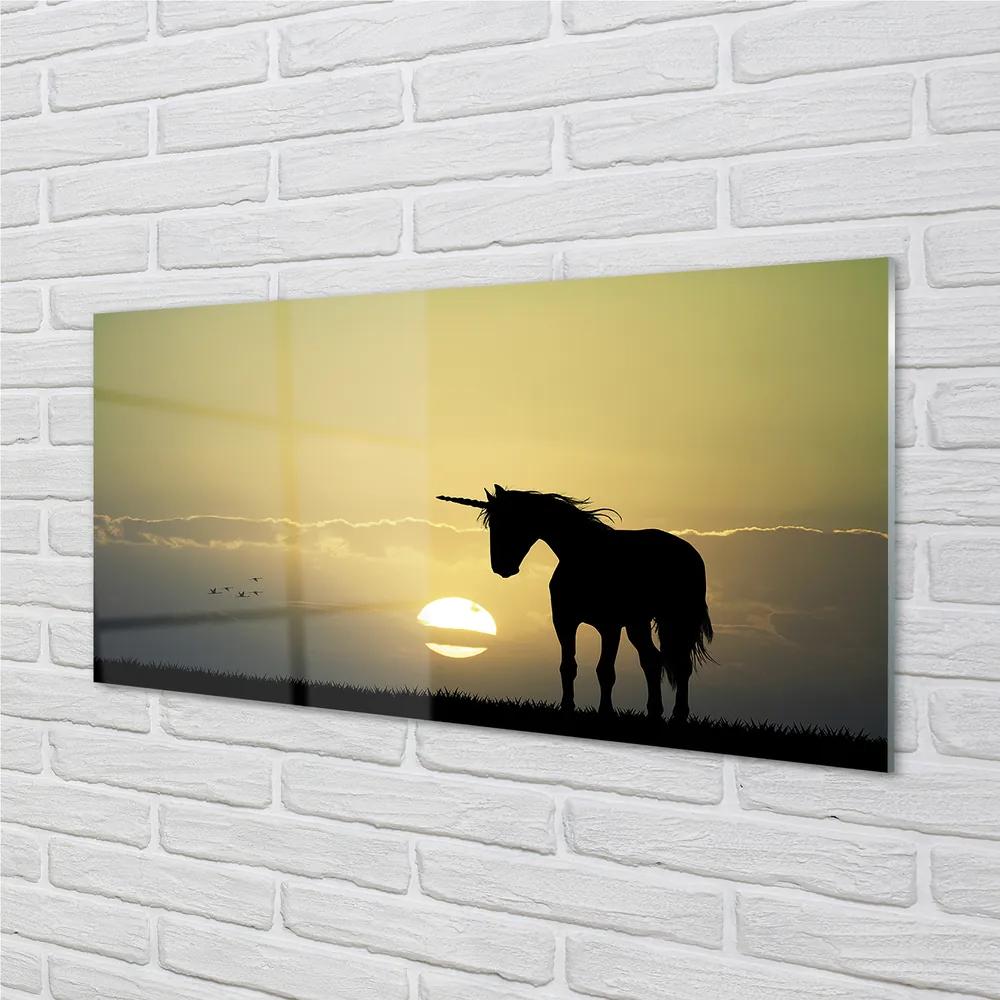 Obraz na akrylátovom skle Pole sunset jednorožec 100x50 cm