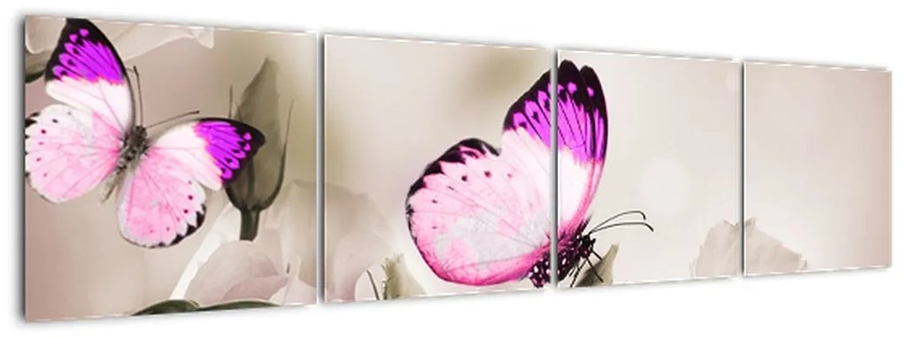 Motýľ na kvetine - obraz