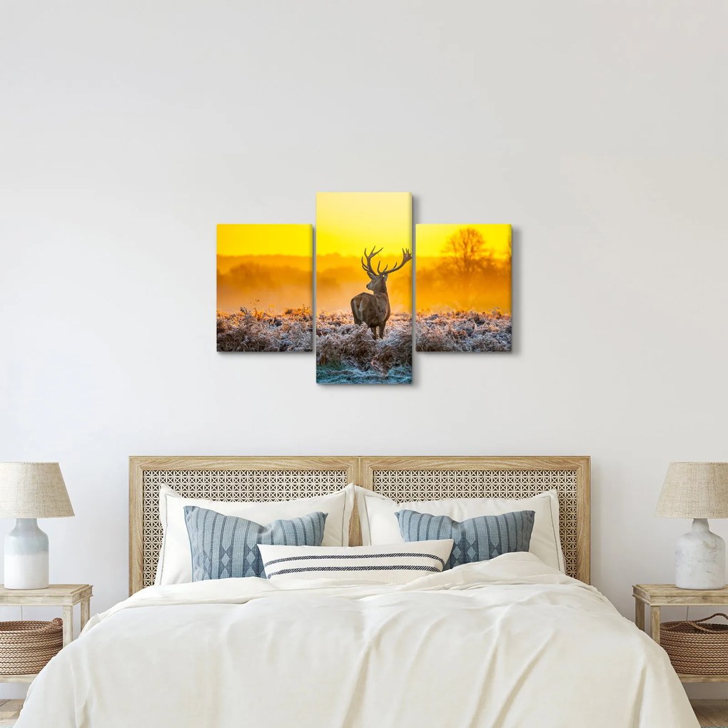 Obraz - Jeleň pri východe slnka (90x60 cm)