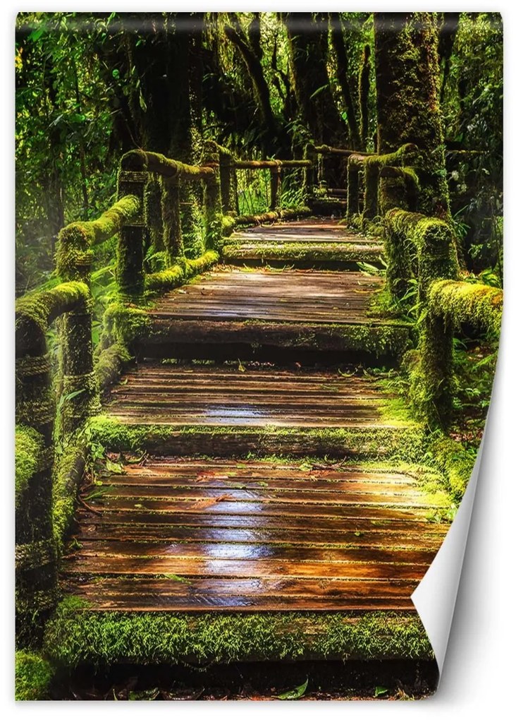 Fototapeta, Most v zeleném lese - 100x140 cm
