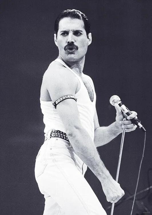 Plagát, Obraz - Freddie Mercury - Live Aid, (59.4 x 84.1 cm)