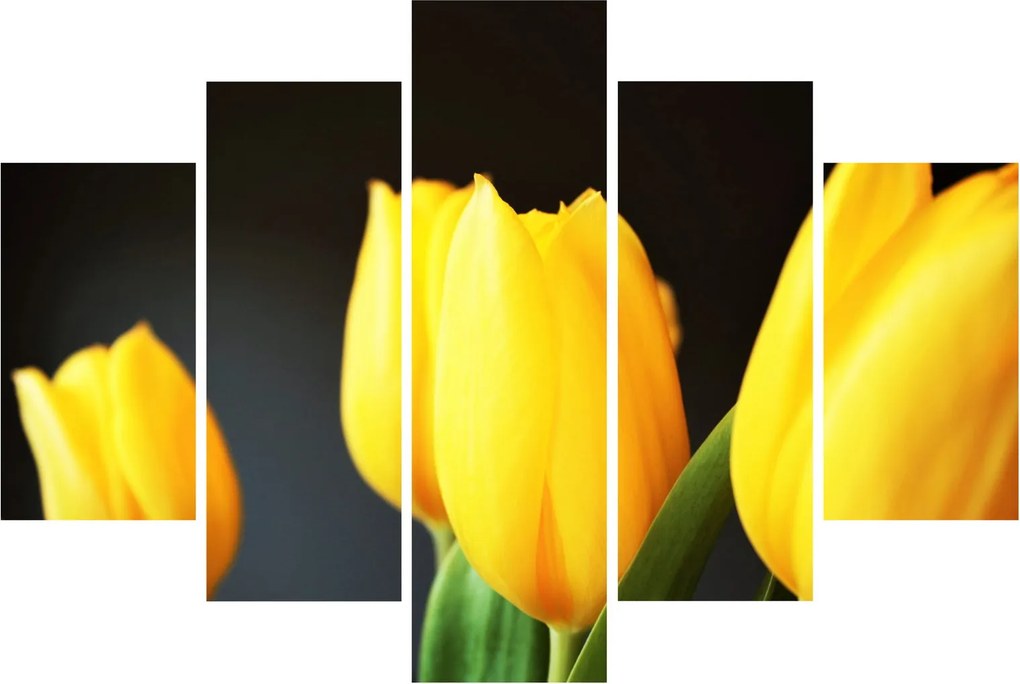 Obraz tulipánov (150x105 cm)