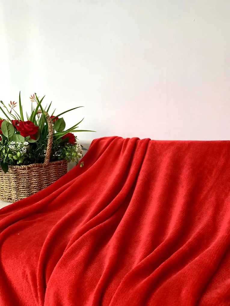 Mikroplyšová deka SOFT, červená Rozmer: 200 x 220 cm