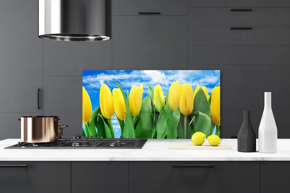 Nástenný panel  Tulipány kvety 100x50 cm