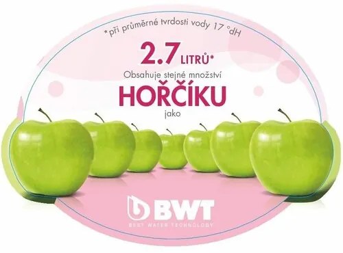 BWT Náhradní filtry Mg2+ 3ks