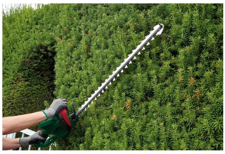 Parkside® Elektrické nožnice na živý plot Pehs 650 A1 (100386387)