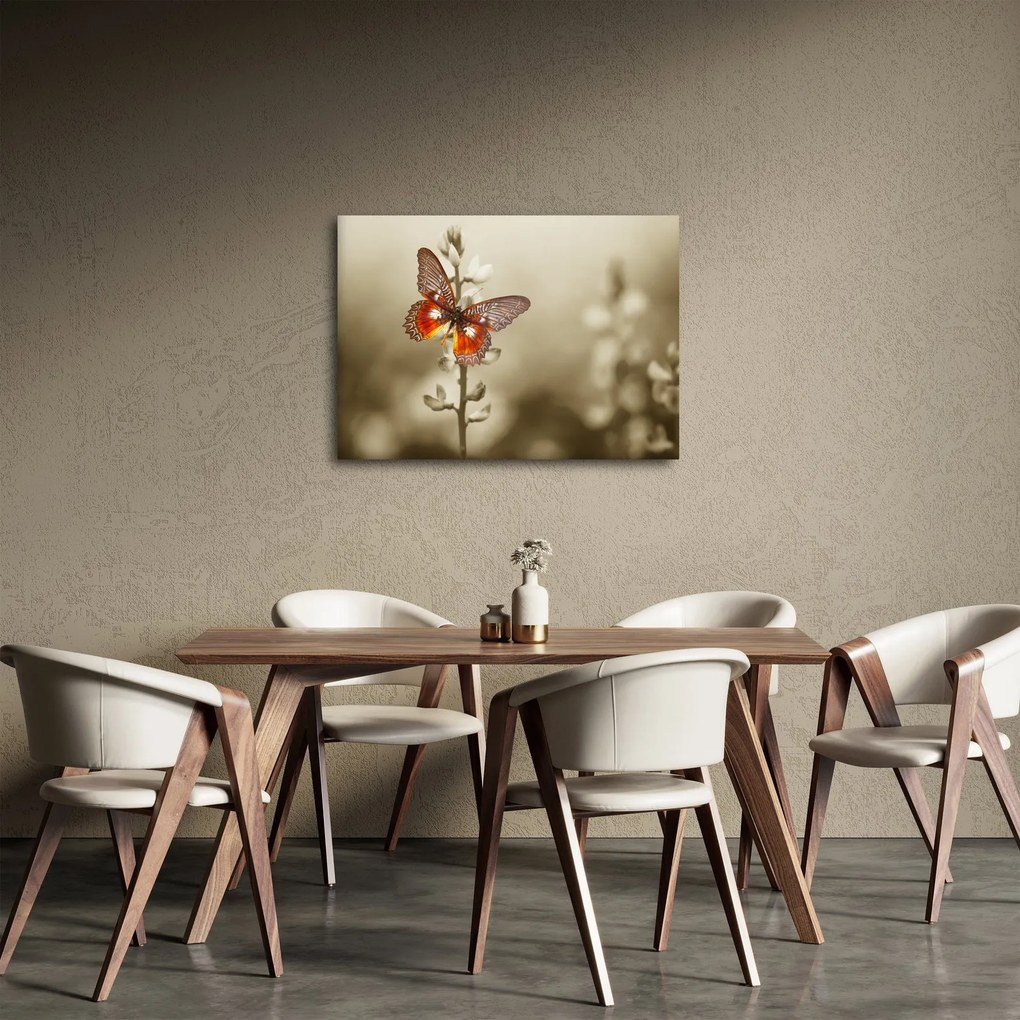 Obraz motýľa (70x50 cm)