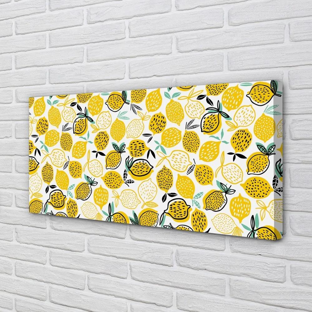 Obraz canvas citróny 120x60 cm