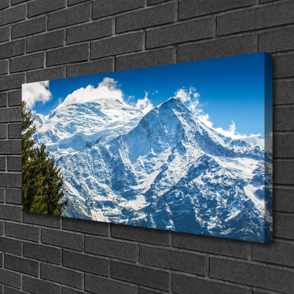 Obraz na plátne Hora strom príroda 140x70 cm