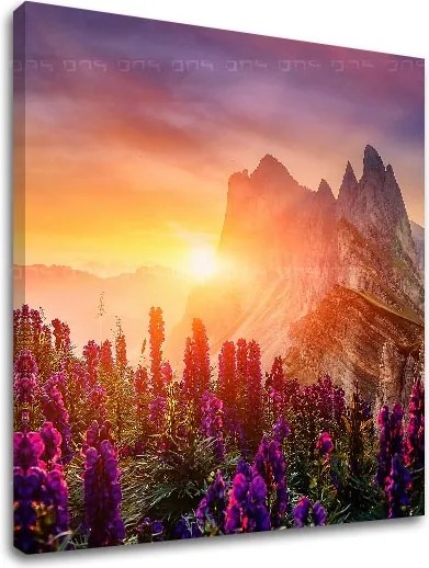 Obraz na stenu HORY_060-12