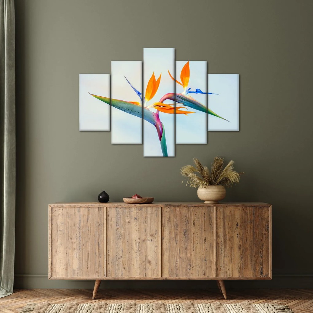 Obraz kvetu Strelícia (150x105 cm)