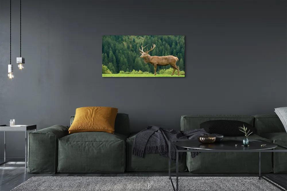 Obraz na plátne Jeleň v poli 125x50 cm