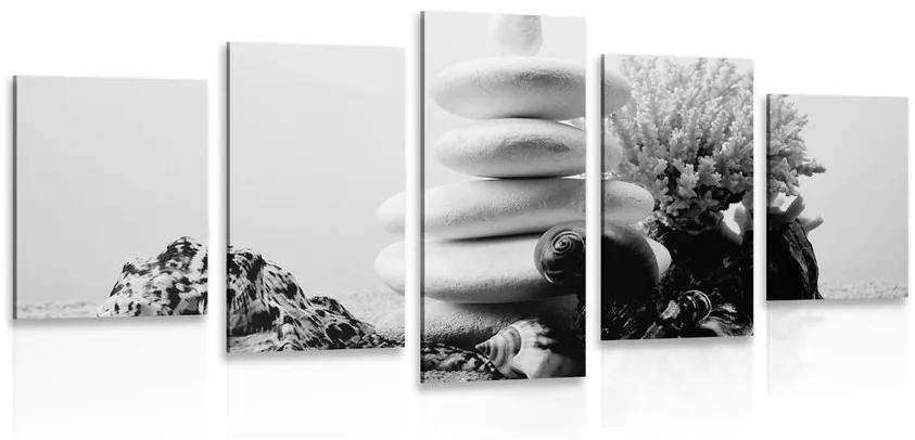 5-dielny obraz Zen kamene s mušľami v čiernobielom prevedení Varianta: 100x50
