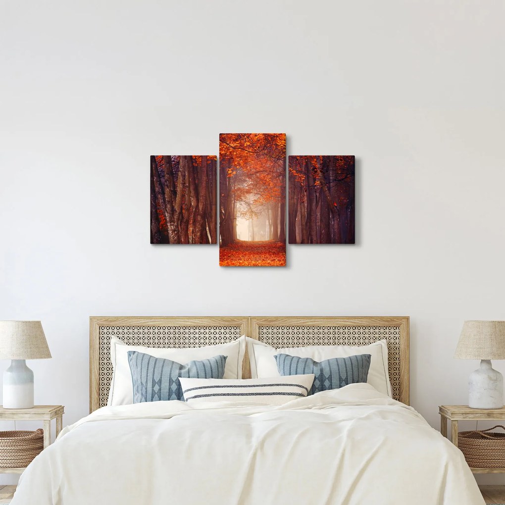 Obraz - Jesenné les (90x60 cm)