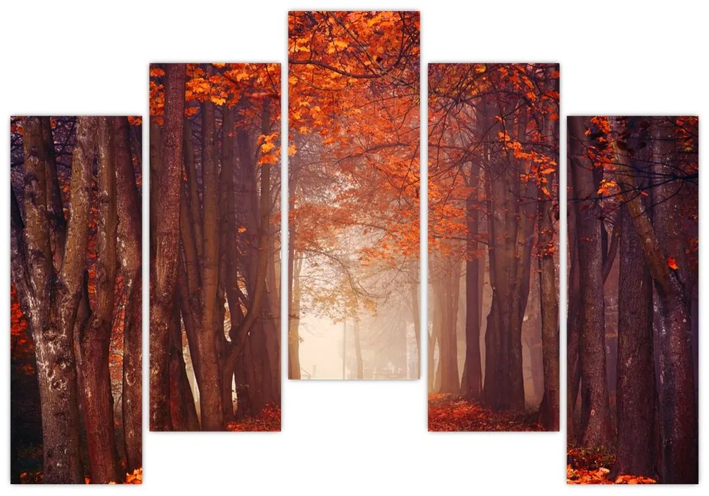 Jesenné les - obraz