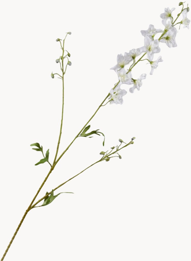 Rastlinná dekorácia Delphinium